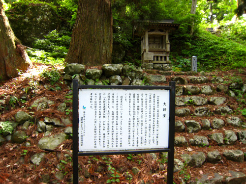 大師山（だいしやま、Mt.Daishi）標高550.3m　勝山市20130609登山道案内板（前坂）黄色い花コアジサイ文殊堂文殊堂案内板