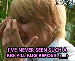 sgkaylee:  koboreta-hoshi:  Tegoshi and bugs.  MTE. why can’t they be dogs? lol.