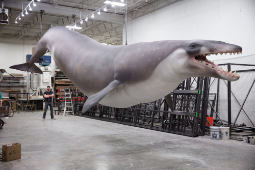 The Quetzalcoatlus weren’t the only giants we strung up in Kuwait this year&hellip;Our 60-foot-long 