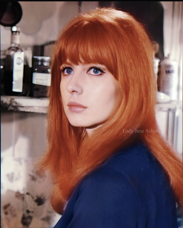 Jane Asher photographed during an Alfie still as Annie, 1965🪴🌺🍂
First picture’s colourisation from @ladyjaneasher ; 