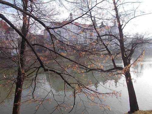 Wroclaw, Poland - trees near a pond.