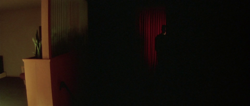 sesiondemadrugada:Lost Highway (David Lynch, porn pictures