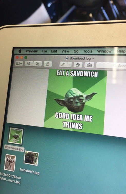 m86: papajohnpizzas: this meme I found on the school computer is so fucking dope