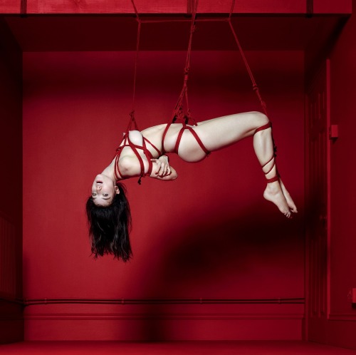 laterratrema:  See whole set here: http://www.fashiontography.net/2014/04/the-red-room-by-cuneyt-akeroglu-antidote.html?utm_source=BP_recent 