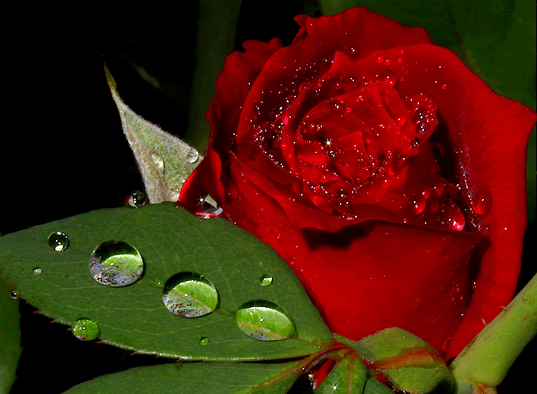 ღ♥ღ MAKE - LOVE - WITH - SIGHT ღ♥ღ