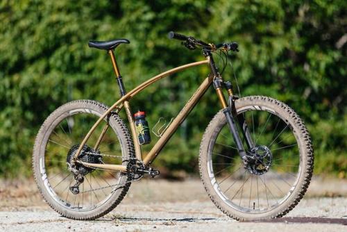 strange-measure: Curtis’ Gold Rush Retrotec Funduro 29er