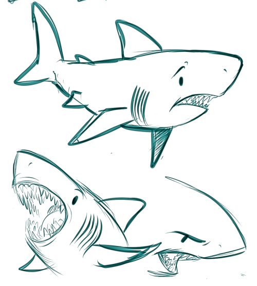 sharkie-19:Whale and Great White sharks. :)