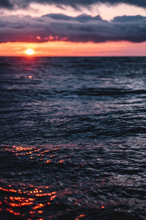 SURF