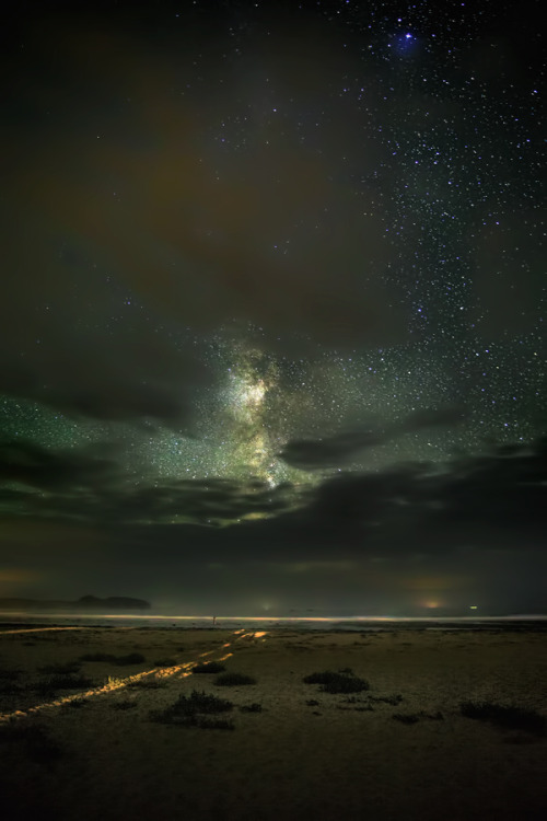 thepictorialist:  A beautiful night on the beach in the PNW…