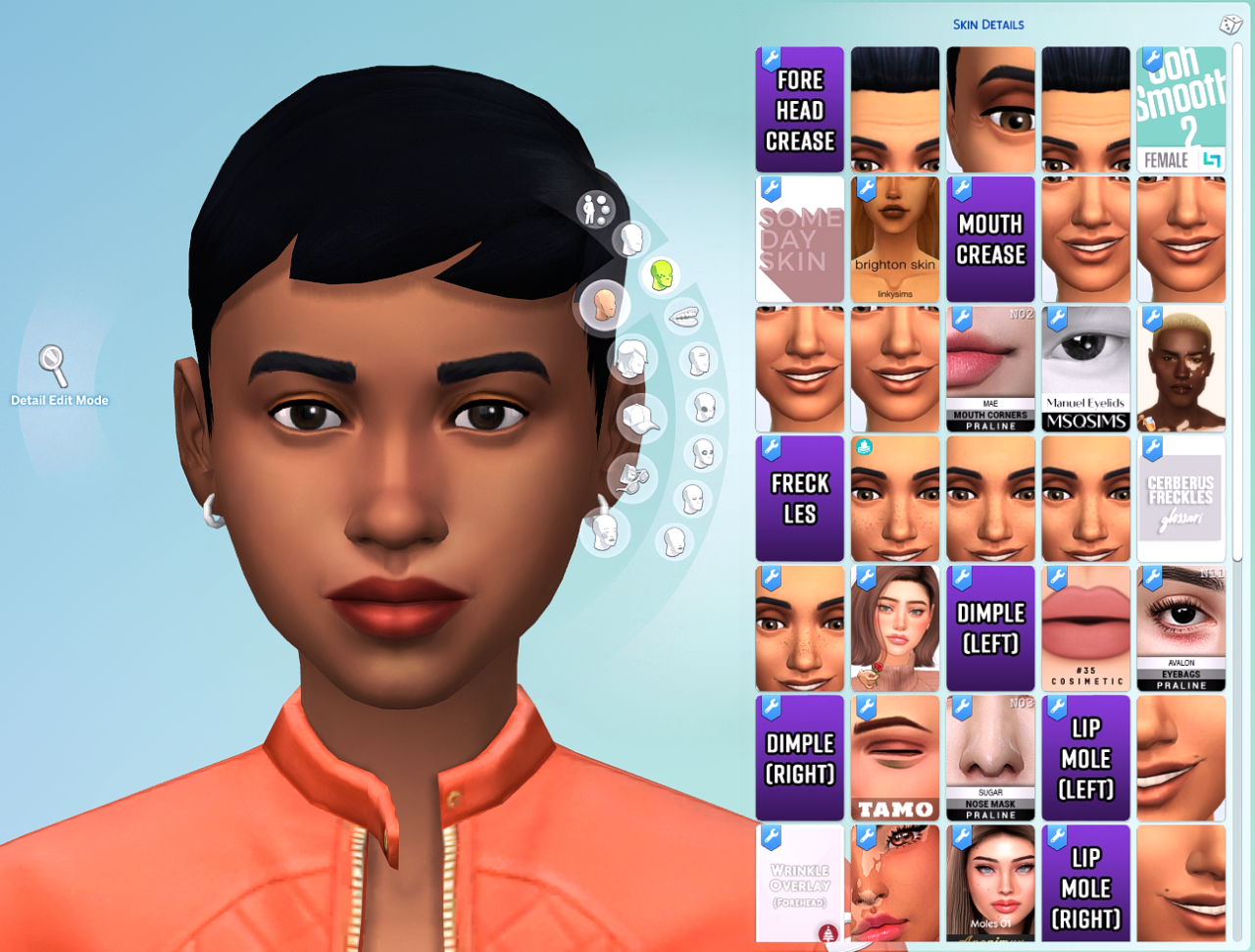 Yoru Queen Of Night Sims Tidy CAS 2 1 CAS Category Organizers before-and-after-pictures-aerating-thatching-co