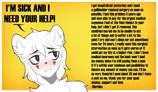 Hi everyone, I forgot to post this here, but I still need a considerable amount of money… thank you for your support and good wishes ;w;My paypal is paypal.me/Mrbl