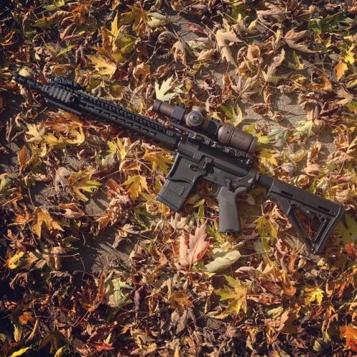 Rifle in the fall @volatilegrey build #zulutactical #ar15 #rifle #guns #tactical #seekinsprecision #