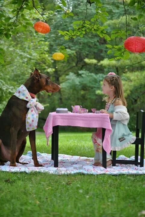 la mia fiaba… inizia …. quando il sogno supera la realta’… thewolf 