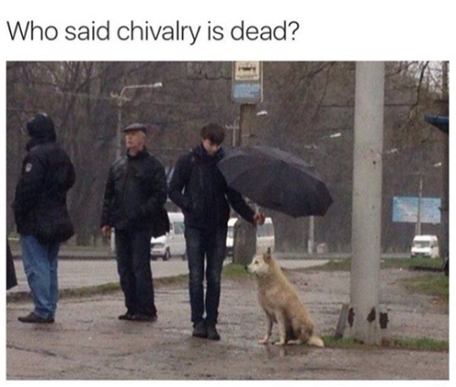 Best Funny