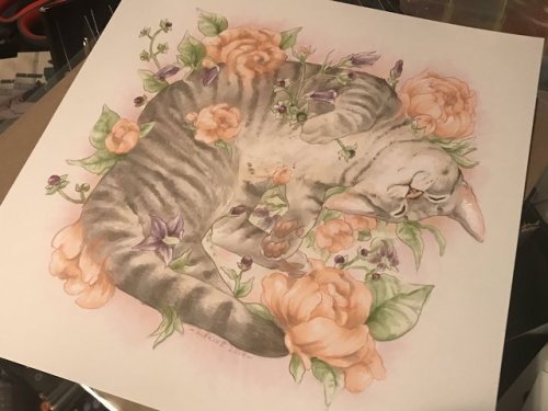 alekivz:marker commission for a client of their cat, deadly nightshade, and some peonies, along with