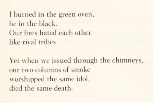 Nina Cassian, ‘Burning’ (trans. Christopher Hewitt), Life Sentence: Selected Poems