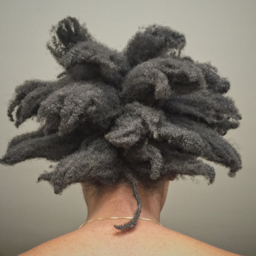 phalasophy:  peacetree:  phalasophy:  your crown manifests in nature photo   this is tight @phalasophy ☺️  😄 