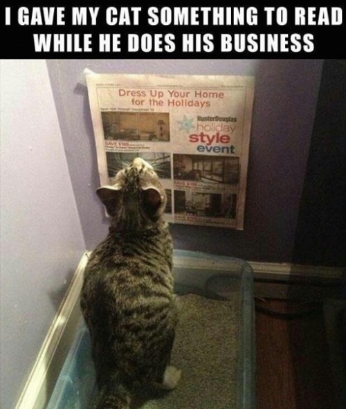 Follow Best-of-memes For More Funny Pictures