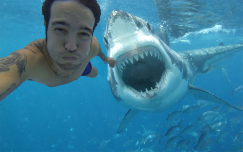 trick-or-pete: joetroeman: Last known selfie of Pete Wentz. Finding Emo