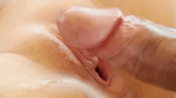 weespanner-gifs-maincourse:http://weespanner.tumblr.com/