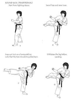 taichi-kungfu-online:kung fu kick