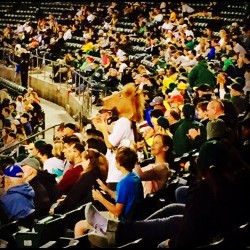 #Rallyhorse #baseball #OaklandAthletics #losatleticos