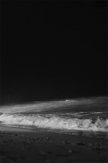 beachaholic-wilson.tumblr.com/post/168428598016/