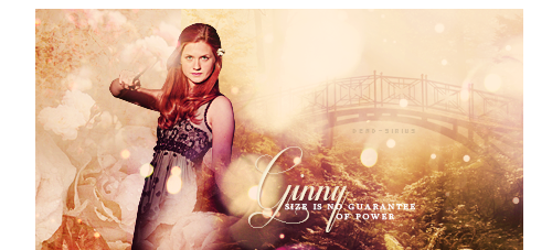 dead-sirius:  Favorite Harry Potter Heroines   Related Quotes 
