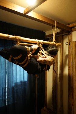 thevertigonetwork:Kinbaku Naka AkiraModel