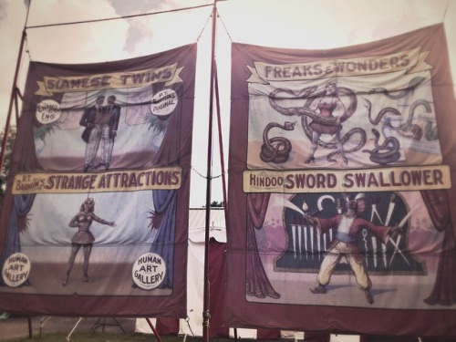 rustbeltjessie:P.T. Barnum’s Strange Attractions // Circus World Museum, Baraboo, August 2019