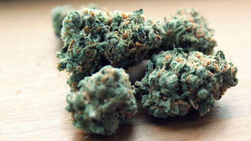 WCS 420