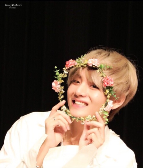 HONEY MOON ♡ do not edit