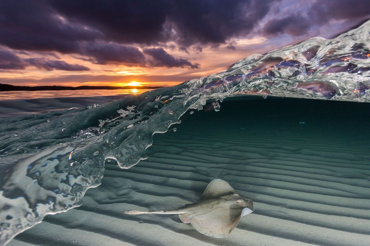 novelingviolinst: natgeoyourshot:   Top Shot: Between Two Worlds   Top Shot features