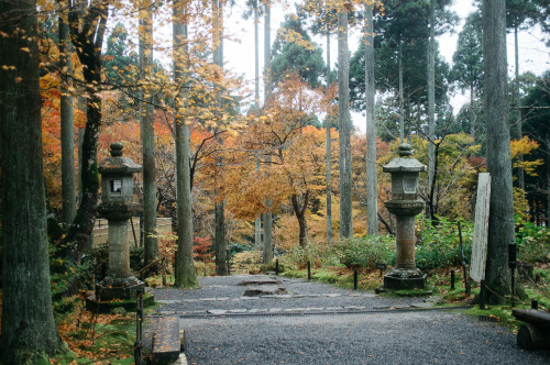 lifeinkyoto:Might as well get lost — Sanzen-in