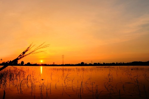 landture:Senja by PakLang