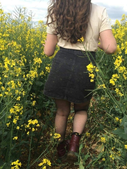 hazelgoestohollywood: this year’s second trip to the beautiful rapeseed field behind college. 