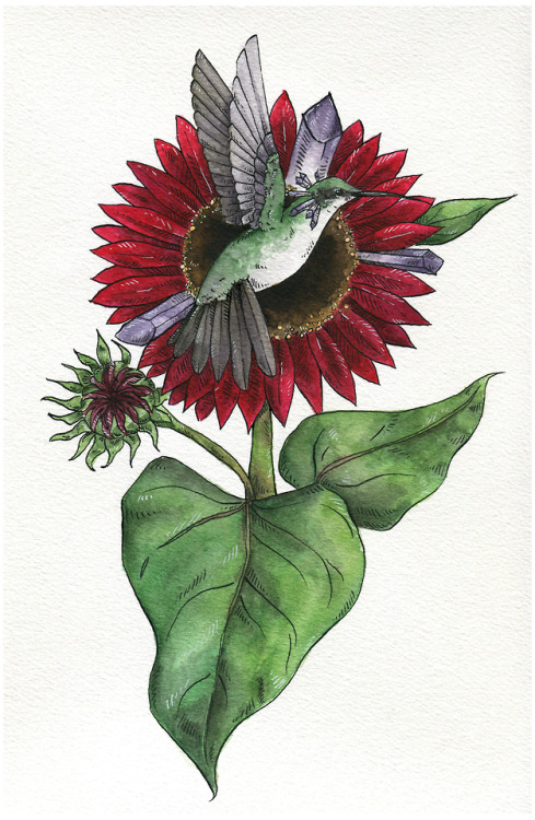 ‘Esperanza’Inspired by a wee hummingbird one of my partners tried to save the other week