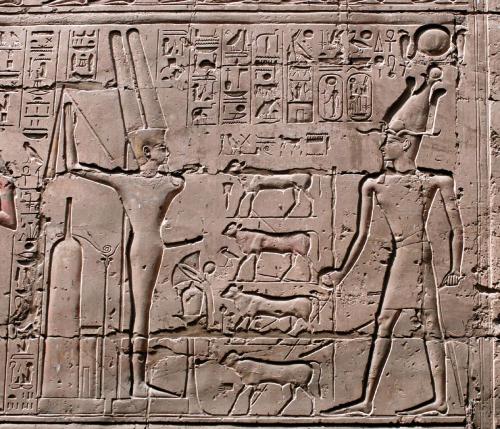 King Ramesses II before Amun-Re KamutefSunken relief depicts King Ramesses II driving four calves in