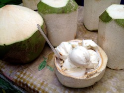 Marigold-E-N:  Thai Coconut Milk Ice Cream 