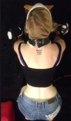 thegagproject:  Although not a gag in sight, I thought you kinky lot might appreciate this! #petplay #puppy #submissive #collar #bondge 