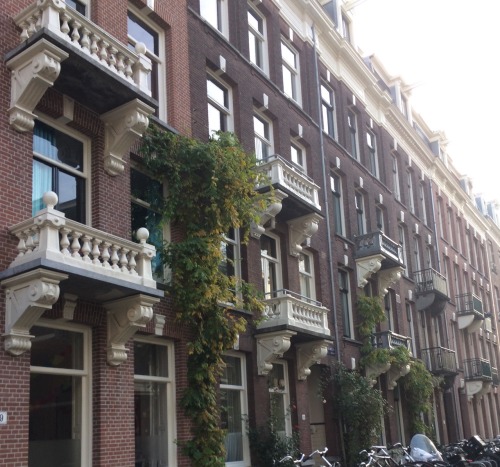 plantysoul:greetings from amsterdam