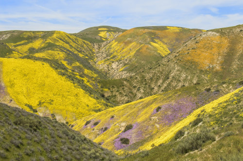 expressions-of-nature:Carrizo Plain, CA by Marlin Harms