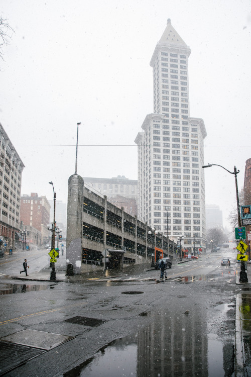 snowy seattle - winter 2019