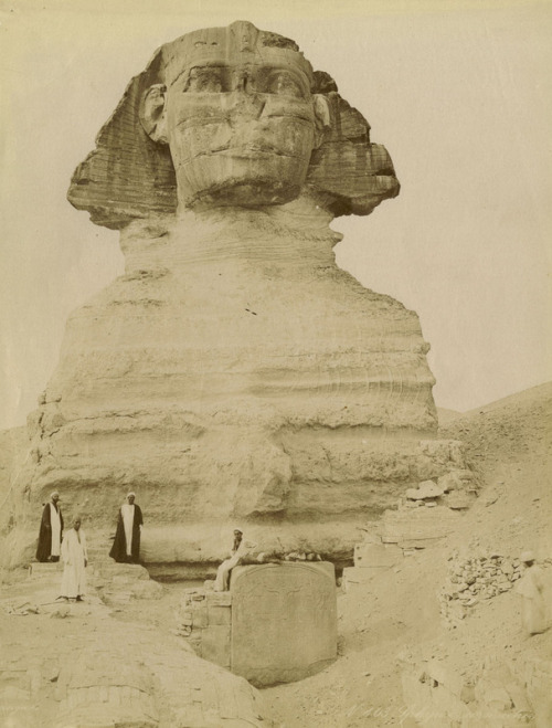 hismarmorealcalm:The Great Sphinx and Dream Stele of Thutmose IV (also called the Sphinx Stele)  Pho