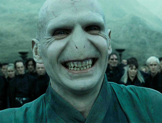 Harry Potter Characters As Dogs