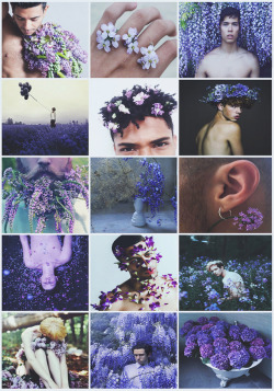 aestheticschaos:  Purple Male Fairy aesthetic