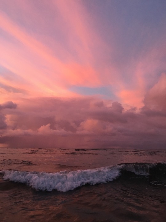 North Shore, O'ahu Hawaii.