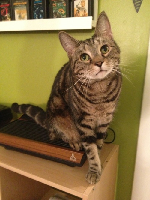 He matches the Atari 2600 :>