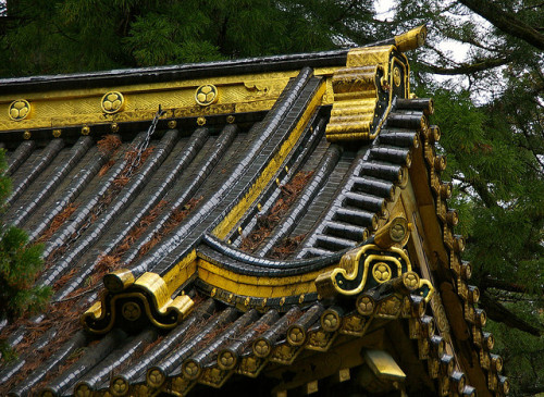 Sostres daurats / Golden roofs