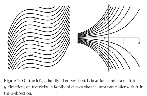 a family of curves / solutions to ODE's broken down by a Lie action